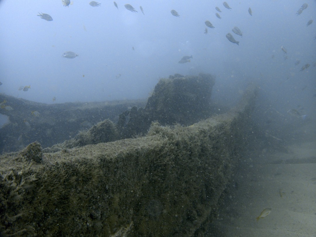 Spécialité Navigation sur Lougne